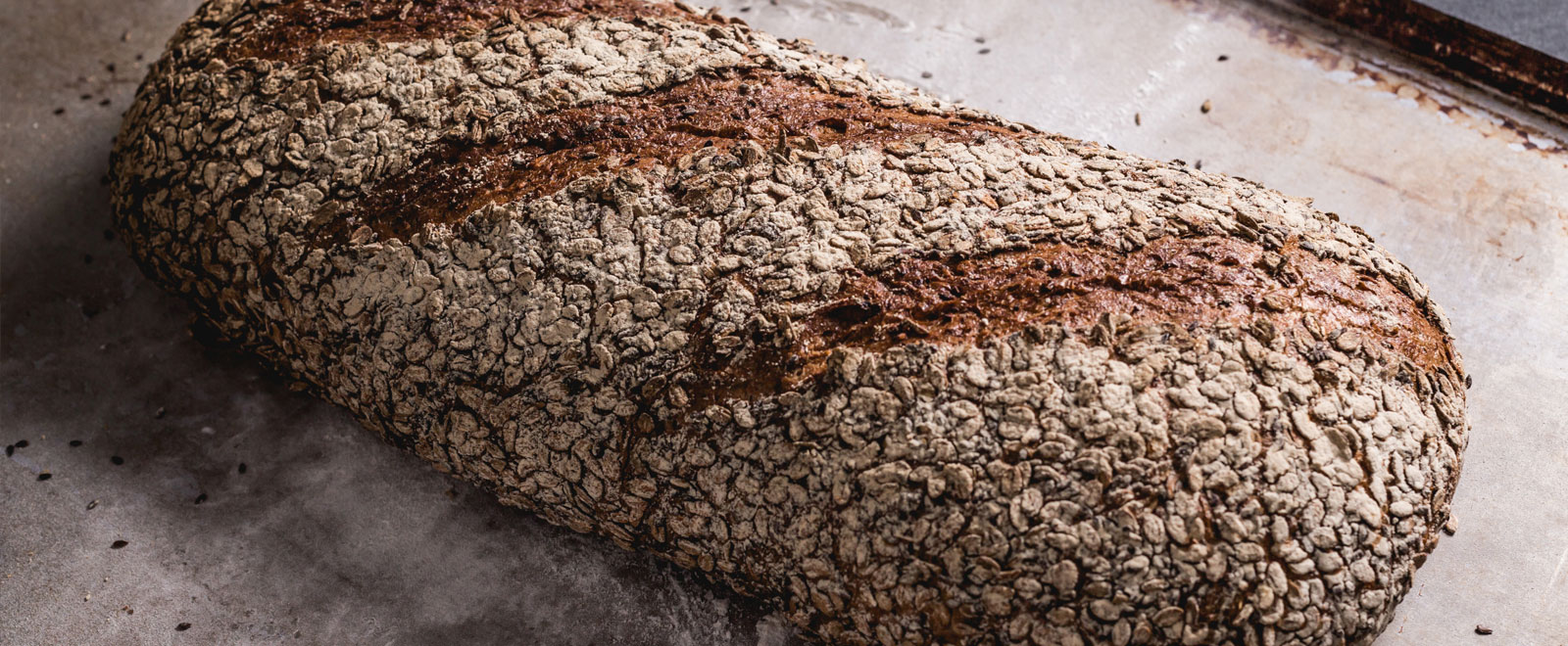 dark-malt-bloomer-1600x660px